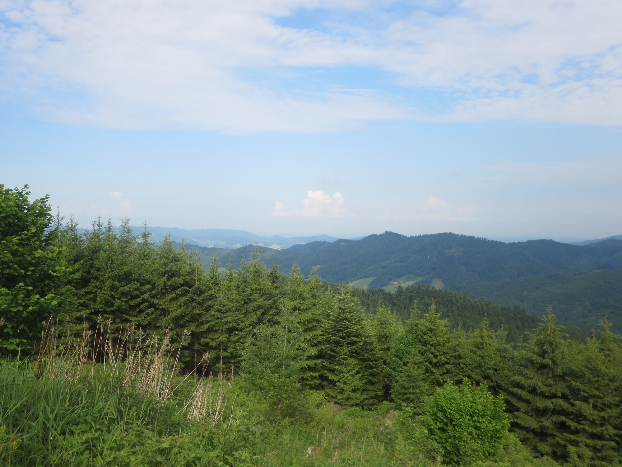 2017-7-24-12-37-36-2017-7-24-7-20-38-2017-7-24-no-cs-2-nordracher-wildtiertag-img_1051