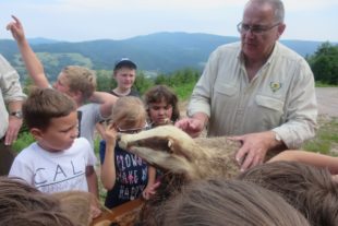 2017-7-24-12-37-37-2017-7-24-7-20-27-2017-7-24-no-cs-2-nordracher-wildtiertag-img_1061