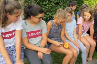 Verlierer mussten abwaschen