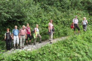 2017-7-25-8-35-26-2017-7-26-bi-kp-swv-bi-kleinwalsertal-img_0404