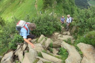 2017-7-25-8-35-28-2017-7-26-bi-kp-swv-bi-kleinwalsertal-img_0475