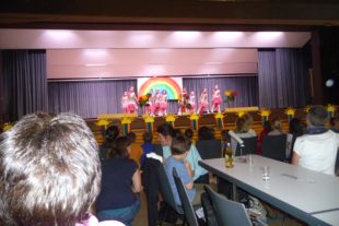 2017-7-3-6-35-1-2017-7-3-ze-uh-grundschule-uh-schulfest-2017-119