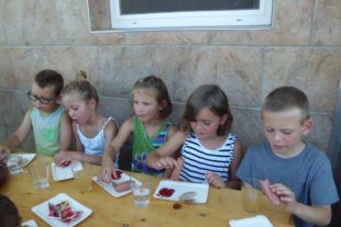 2017-7-3-7-14-19-2017-7-3-oh-grundschulfoerderklasse-danisenhof-oh-cimg5229