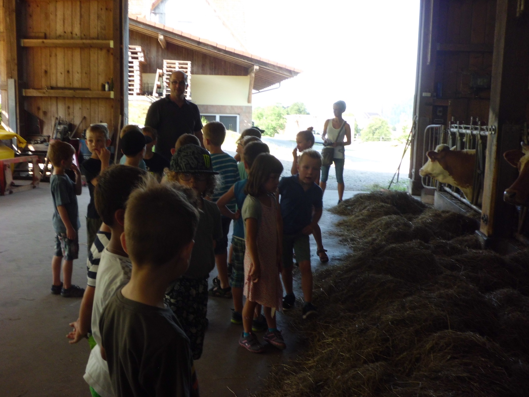 2017-7-3-7-14-20-2017-7-3-oh-grundschulfoerderklasse-danisenhof-oh-cimg5208