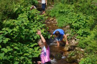 2017-8-28-No-Neumayer-Ferienprogramm-Alpakas-Im Bach