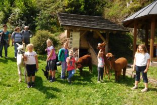 2017-8-28-No-Neumayer-Ferienprogramm-Alpakas-Wandergruppe