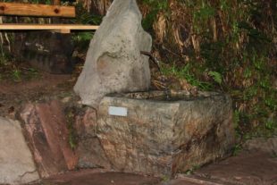 2017-8-28-OH-kal-Jagdhornbläser-vkIMG_0376a