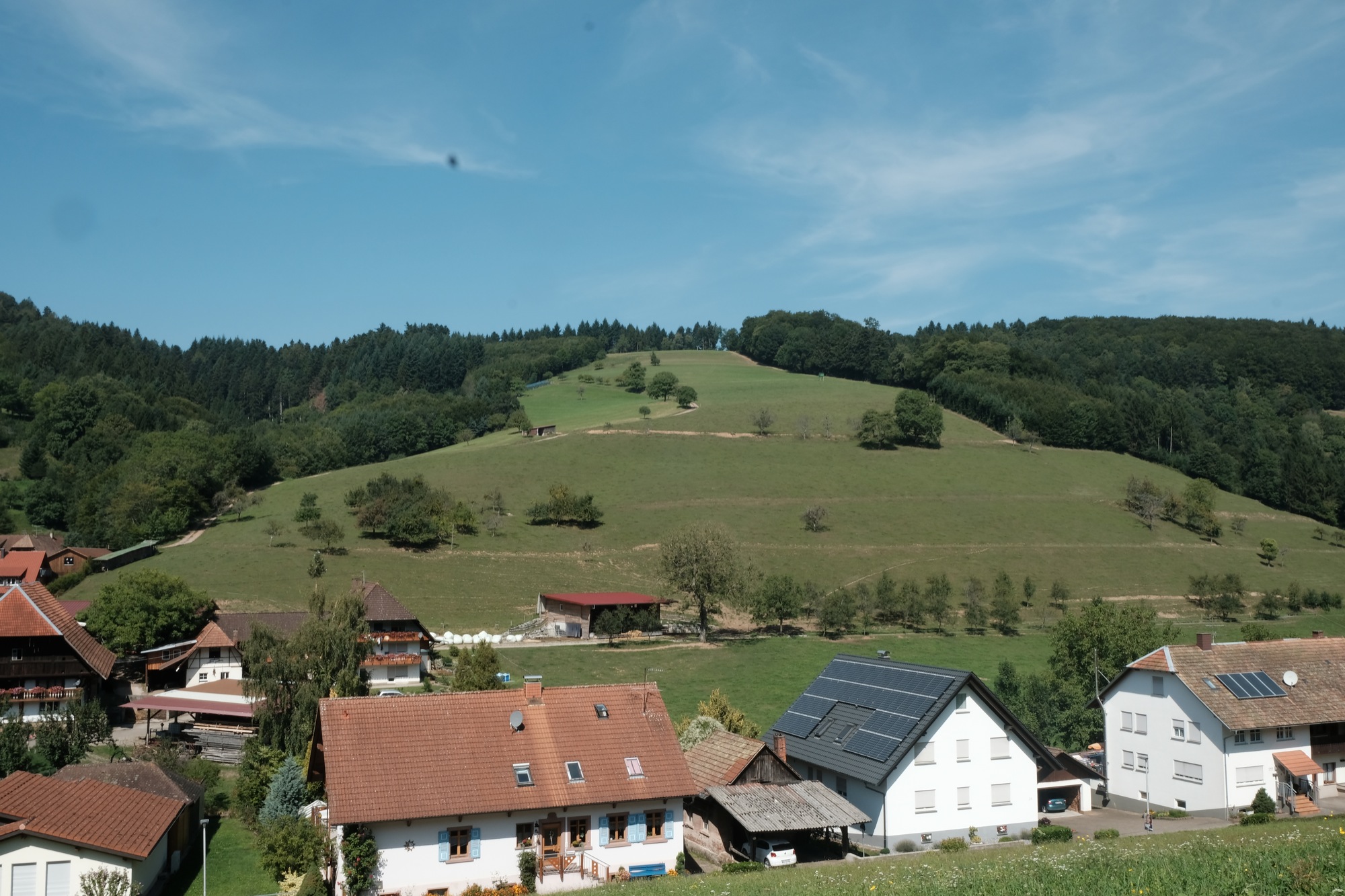 2017-9-1-BI-Prinz-vo-Wolf-DSCF2030