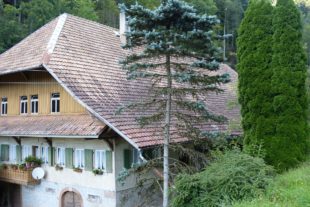 2017-9-1-No-bia-Kelly-Family-St. Lioba