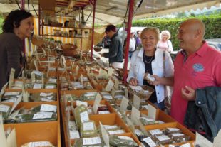 2017-9-11-ZE-UH-hpw-Hombacher Kilwi-Sonntag-Kilwi 2017-Sonntag (4)