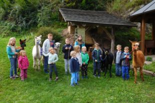 2017-9-15-NO-privat-Sommerferienprogram Alpakatour 2