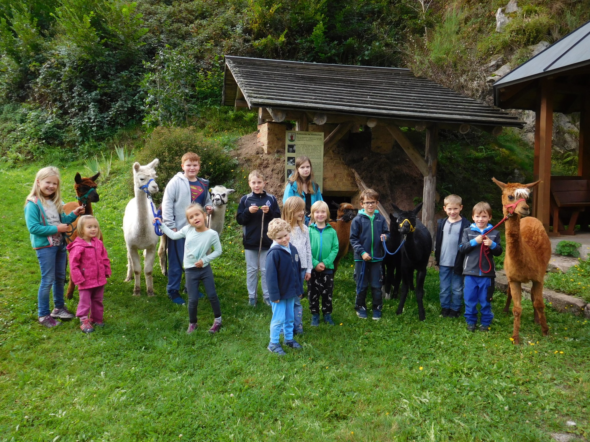 2017-9-15-NO-privat-Sommerferienprogram Alpakatour 2