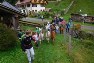 2017-9-15-No-privat-Sommerferienprogramm Alpakatour 1
