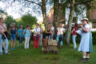 2017-9-8-OH-bia-Die Bäume und der Mensch-Birken