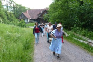 2017-9-8-OH-bia-Die Bäume und der Mensch-unterwegs