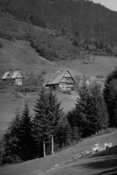 Historische Augenblicke