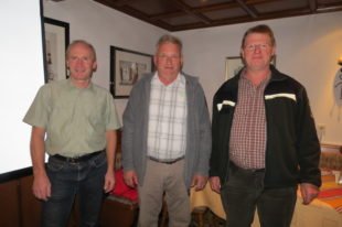 Sägewerke brauchen Holz