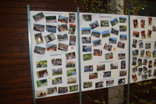 2017-10-23-NO-hv-Kleintierzuchtverein-Lokalschau-DSC_0826