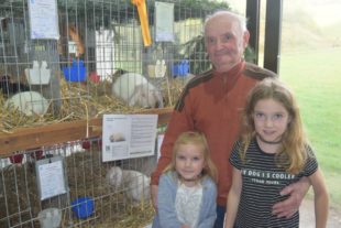 2017-10-23-NO-hv-Kleintierzuchtverein-Lokalschau-DSC_0840