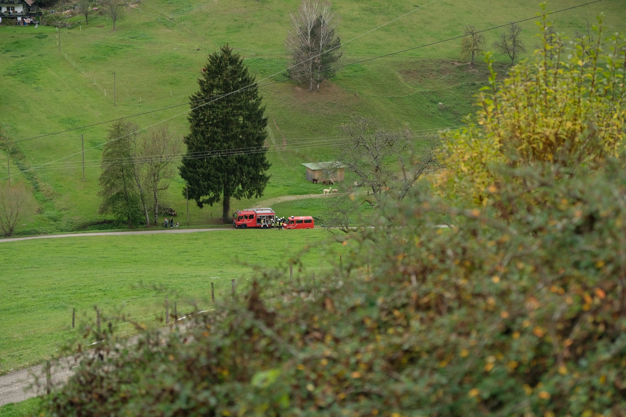 2017-10-30-BI-vo-Herbstübung Feuerwehr-DSCF2677