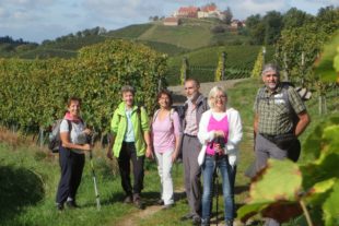 2017-10-4-BI-kp-SWV-Schwarzwälder Genießerpfad-IMG_1478