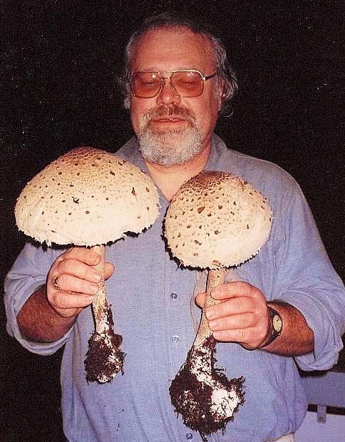 2017-10-9-Christian Petersen-Pilzwanderung-schirmp-parasol