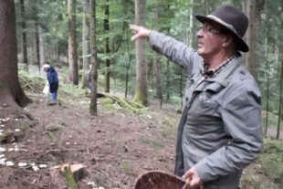 2017-10-9-OH-Irmgard Lehmann-Landfrauen-Pilztour-20171005_174555_klein