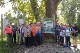 2017-10-9-ZE-UH-fho-WuF-Wandertag-ALIM0240