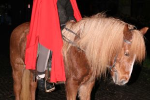 2017-11-15-ZE-UE-dp-Martinsfeier-Maira Pöpsel auf Pferd