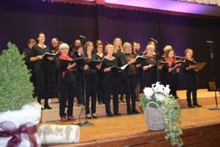 2017-11-20-NO-hv-Chor der Klänge-Herbstkonzert-DSC_0038