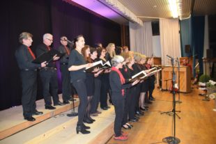 2017-11-20-NO-hv-Chor der Klänge-Herbstkonzert-DSC_0039