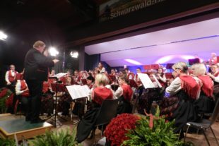 2017-11-6-ZE_UH-hpw-Musikkapelle - Jahreskonzert 2017 (11)