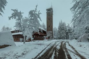 2017-12-1-Winterwelt-Robert Schwendemann-5E0A1289