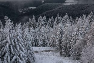 2017-12-1-Winterwelt-Robert Schwendemann-DSC03852