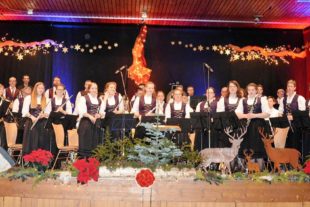 2017-12-16-BI-Anja Streif-Musikverein Prinzbach Schönberg-Jahreskonzert-Bild9