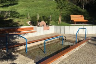 2017-12-20-BI-Gemeinde Biberach-Himmelsliege-IMG_0874