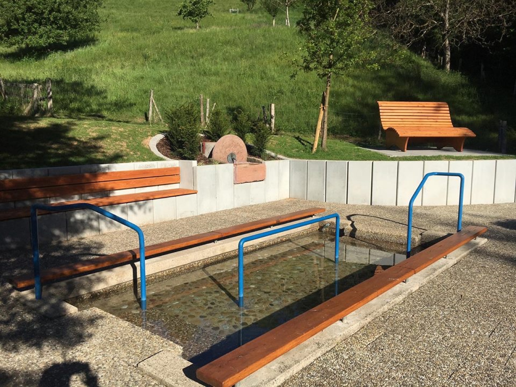 2017-12-20-BI-Gemeinde Biberach-Himmelsliege-IMG_0874