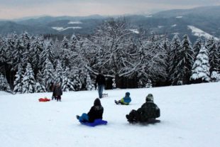 2017-12-4-ZE-us-Winter-Nill-Schlittenfahrer