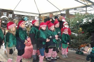 OLYMPUS DIGITAL CAMERA