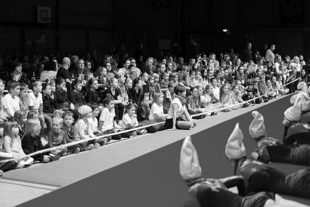 Nikolausfeier TV Unterharmersbach