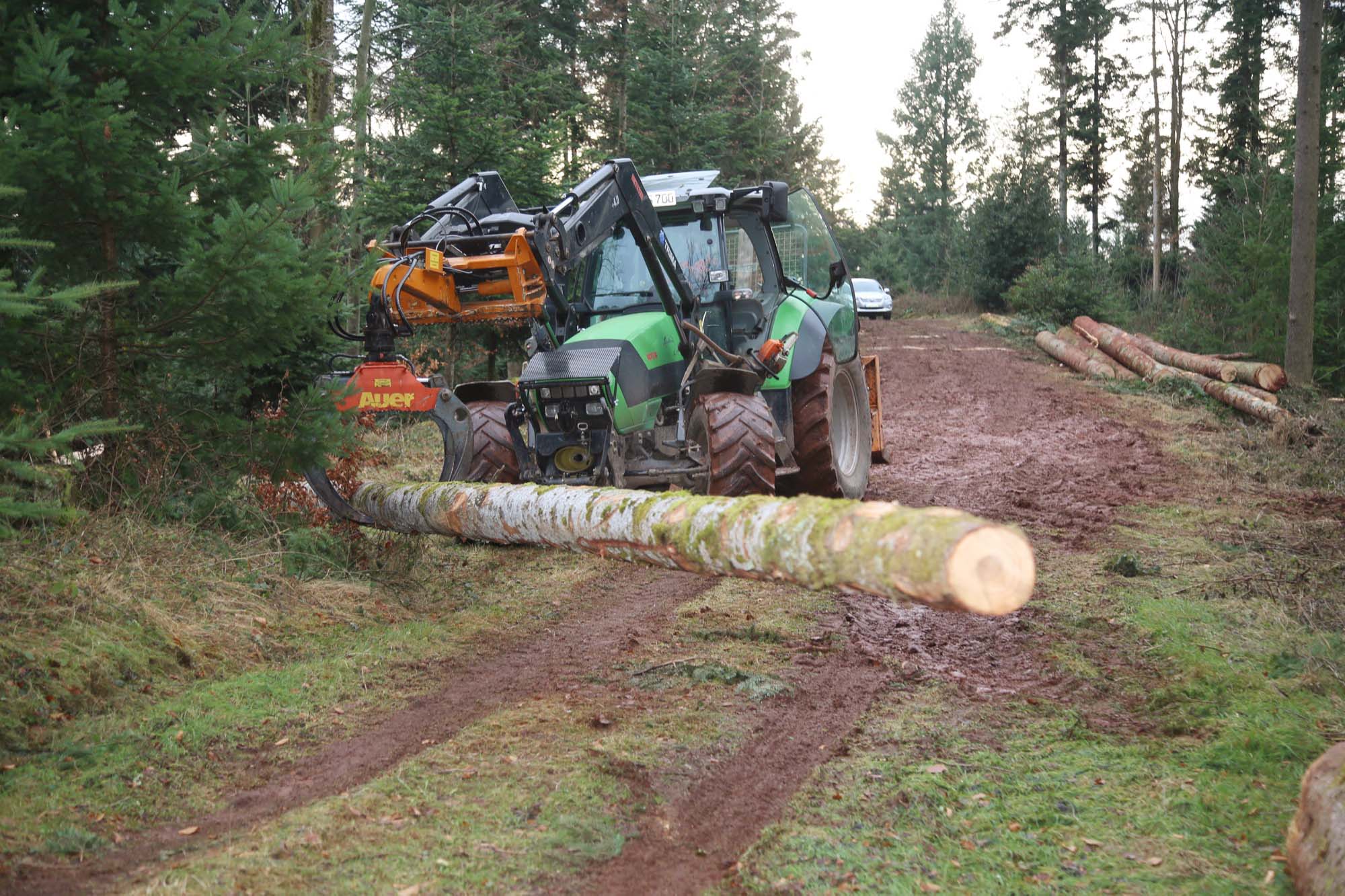 2018-1-17-OH-kal-Sturmschäden-zvkMG8A3757