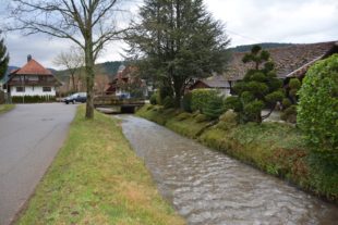 Sanierung des Dorfbachs dringend notwendig