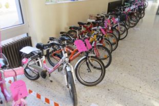 2018-1-22-BI-Elternbeirat Grundschule Biberach-Fahrzeugbasar-IMG_4776