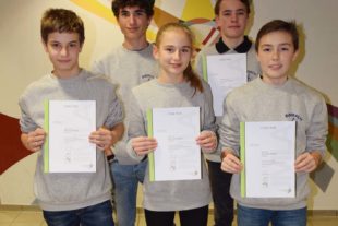 2018-1-29-BI-Musikverein Biberach-Jungmusikerleistungsabzeichen-Silber-DSC_0010