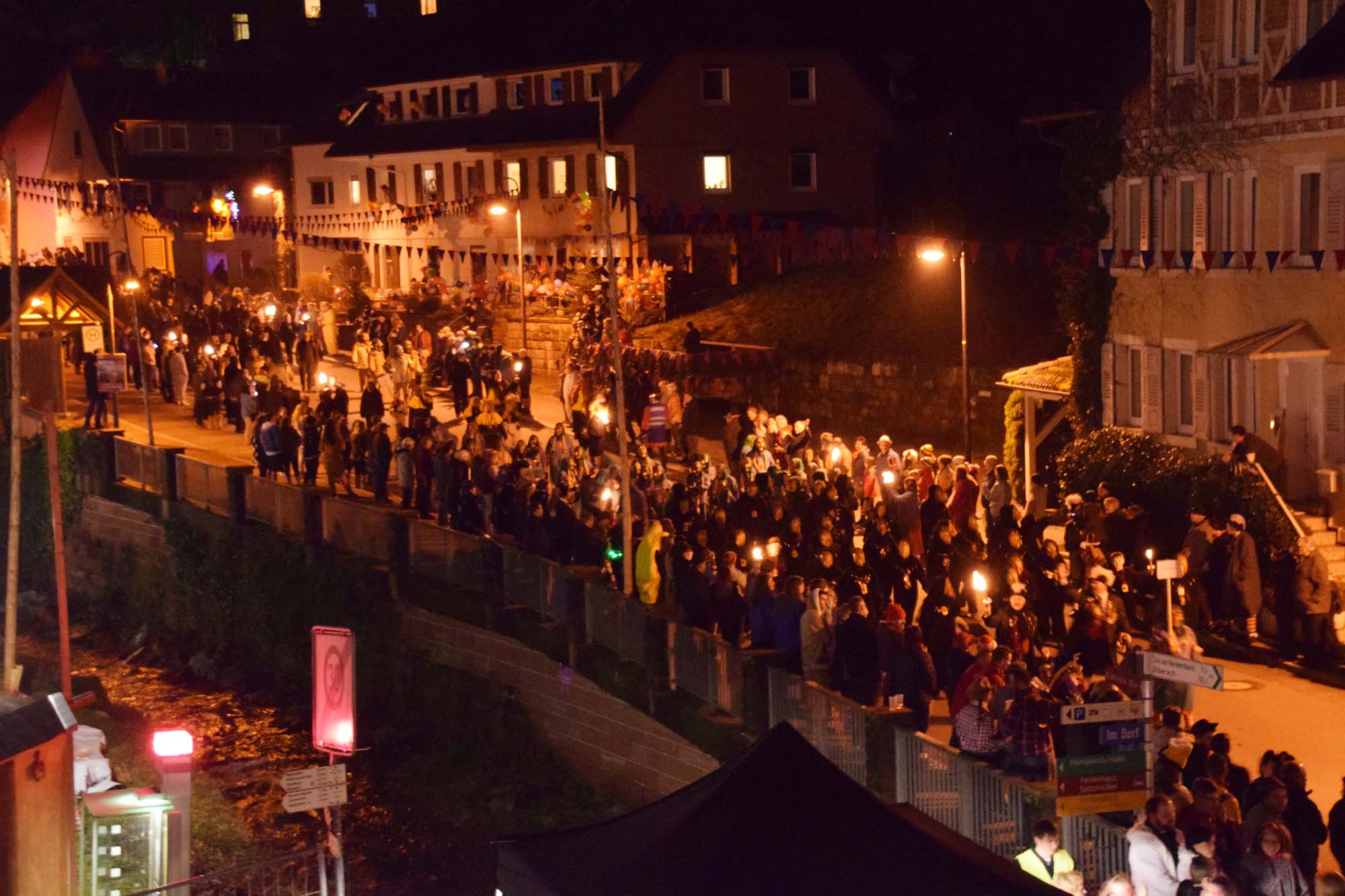 2018-1-29-NO-HV-Narrentreffen-DSC_0008