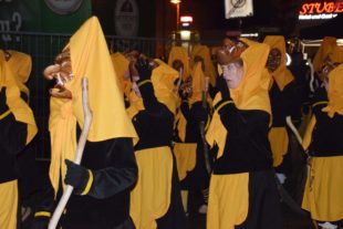 2018-1-29-NO-HV-Narrentreffen-DSC_0012