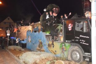 2018-1-29-NO-HV-Narrentreffen-DSC_0016