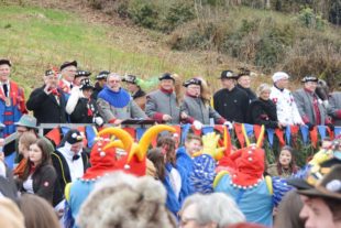 2018-1-29-NO-hps-Narrentreffen Umzug 1