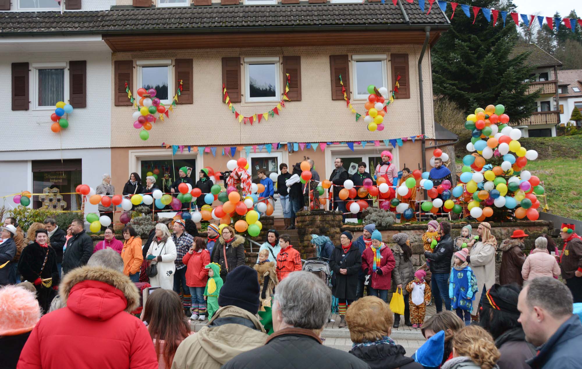 2018-1-29-NO-hps-Narrentreffen Umzug 2