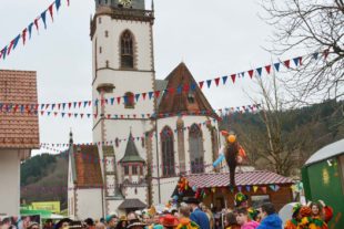 2018-1-29-NO-hps-Narrentreffen Umzug 3